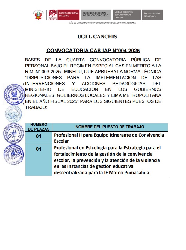 Convocatoria CAS-IAP N°004-2025