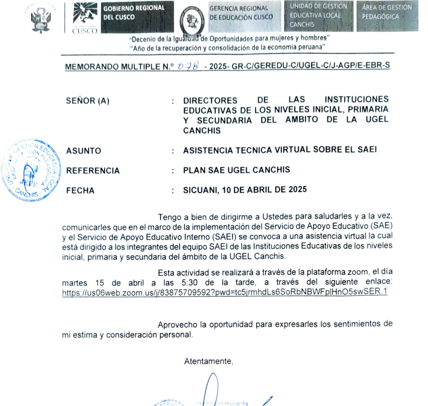 Asistencia técnica virtual sobre el SAEI