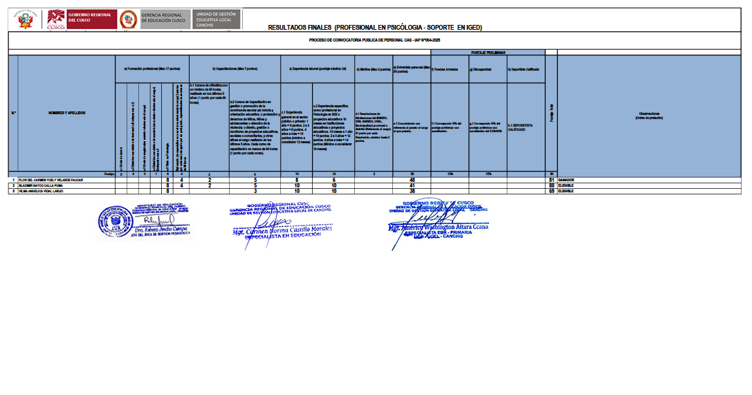 Cuadro final - PROCESO DE CONVOCATORIA PUBLICA DE PERSONAL CAS - IAP N°004-2025