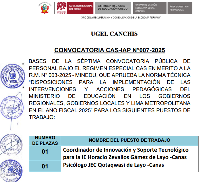 Convocatoria CAS-IAP N°007-2025