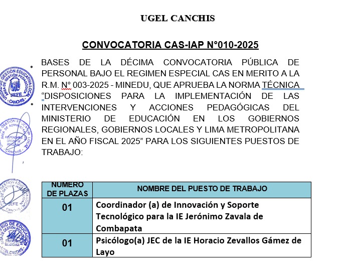 Convocatoria - CAS-IAP N°010-2025