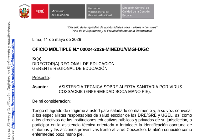 ASISTENCIA TÉCNICA SOBRE ALERTA SANITARIA POR Virus COXSACKIE (ENFERMEDAD BOCA MANO PIE).